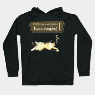 Don't give up on your dreams. Keep sleeping Hoodie